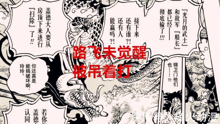 象主|海贼王1040话解读：象主其实是来唤醒路飞的果实，他才能战胜凯多