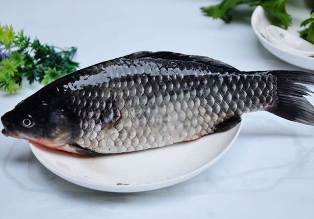 饮食习惯|“鱼不蒜，牛不韭，肉不姜”的说法，有道理吗？听医生怎么说