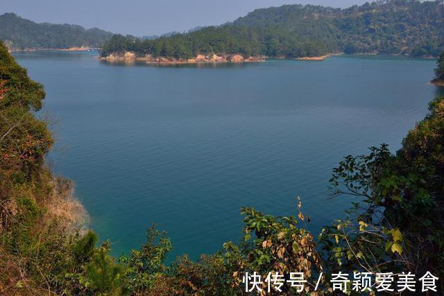 这个湖曾经是钓鱼人的天堂,但抵不过灭绝式垂钓,极难恢复