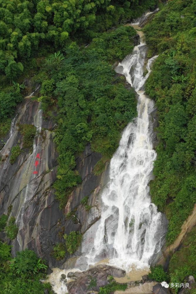 生态|喝着山泉水长大的内良高山稻米，认识一下