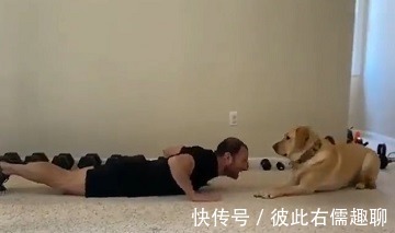 做俯卧撑|健身的最佳拍档，你绝对想不到！