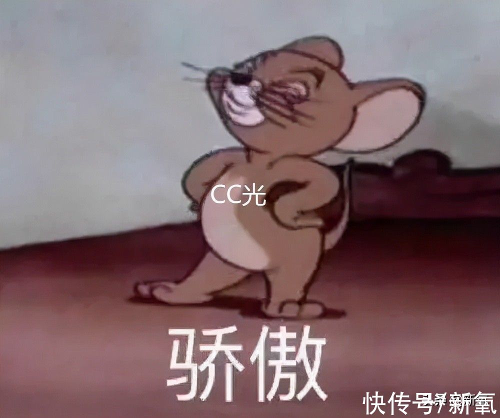 cc光|千金感为什么会兴起？