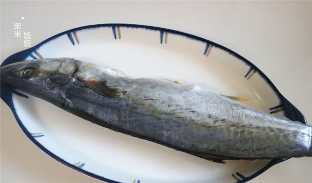这种鱼，只有野生无养殖，肉多刺少营养极高，家常做法简单好吃