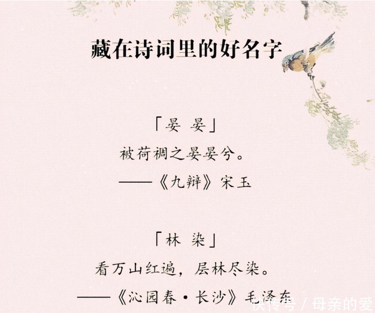 学生请假|小学生请假“看母狗生小狗”,不料因名字被拒,网友:绕狗一命吧