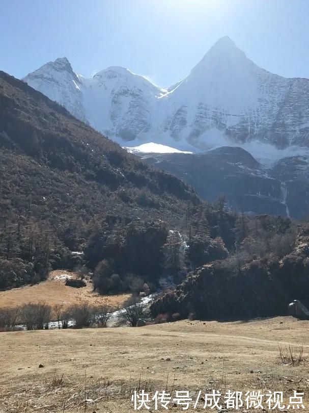 在这片土地上奔跑，和它们一起回到童年时光