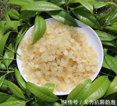 绿豆水|宋朝也有肥宅快乐水?古人的快乐你想象不到,最后一种做法已失传