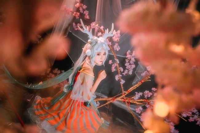 神鹿|cos:瑶-遇见神鹿,林中的小可爱