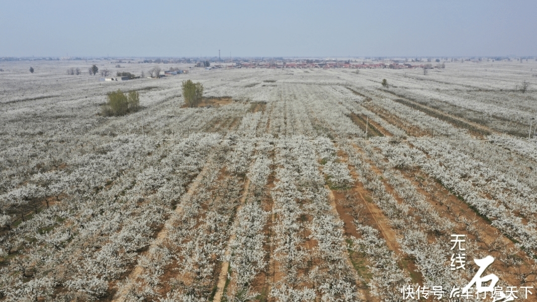 惊艳！石家庄这个地方成“打卡”胜地