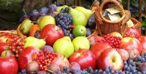 胆固醇|孕期到底哪些能吃哪些不能吃,5种食物不能吃以外,都可以