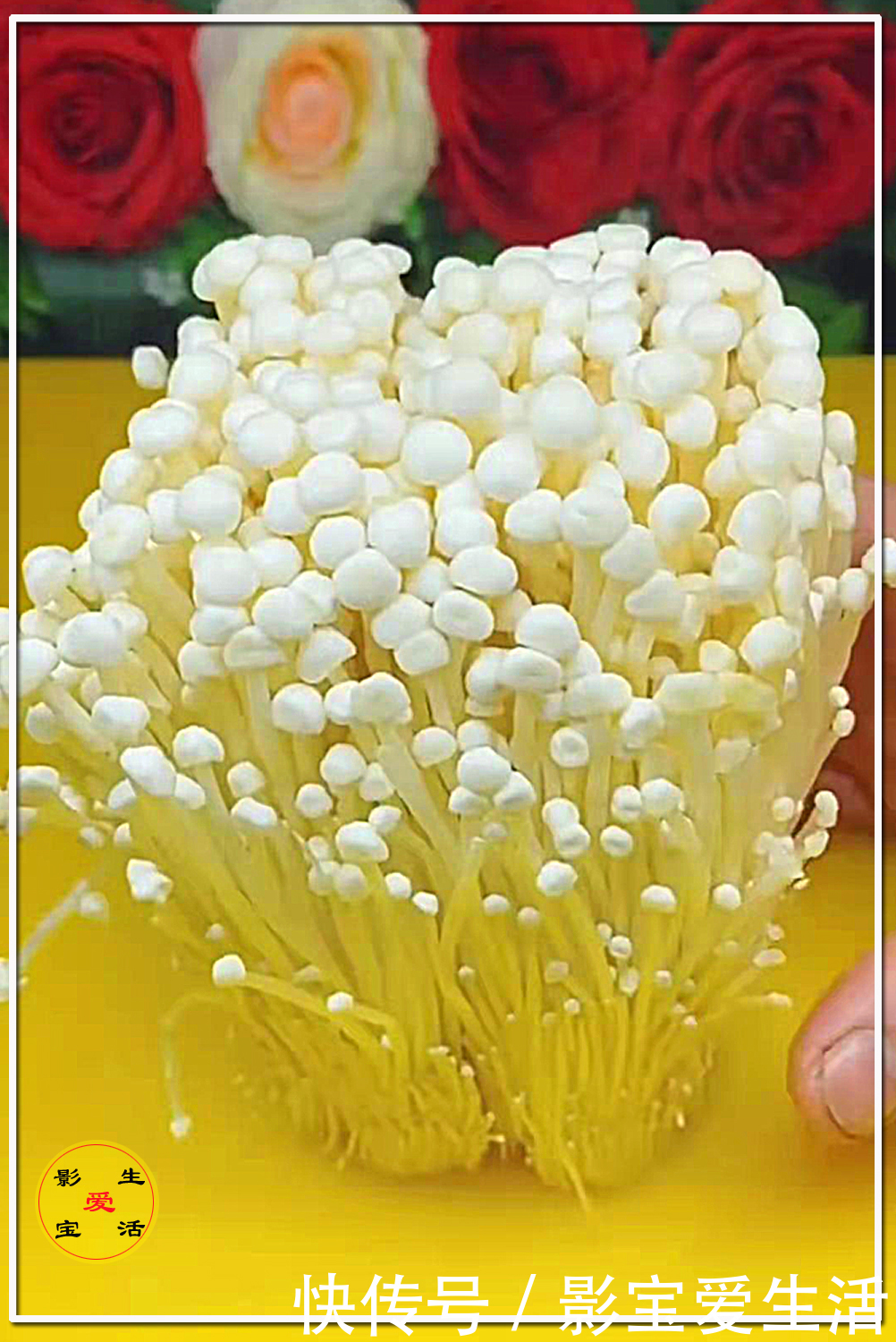 凉拌菜首推的红油金针菇,原汁原味,一学就会,鲜香美味又解腻