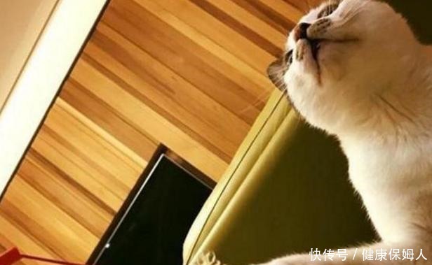 谢依霖晒出自己住的房子,餐厅放了几张塑料餐椅,生活真够接地气!