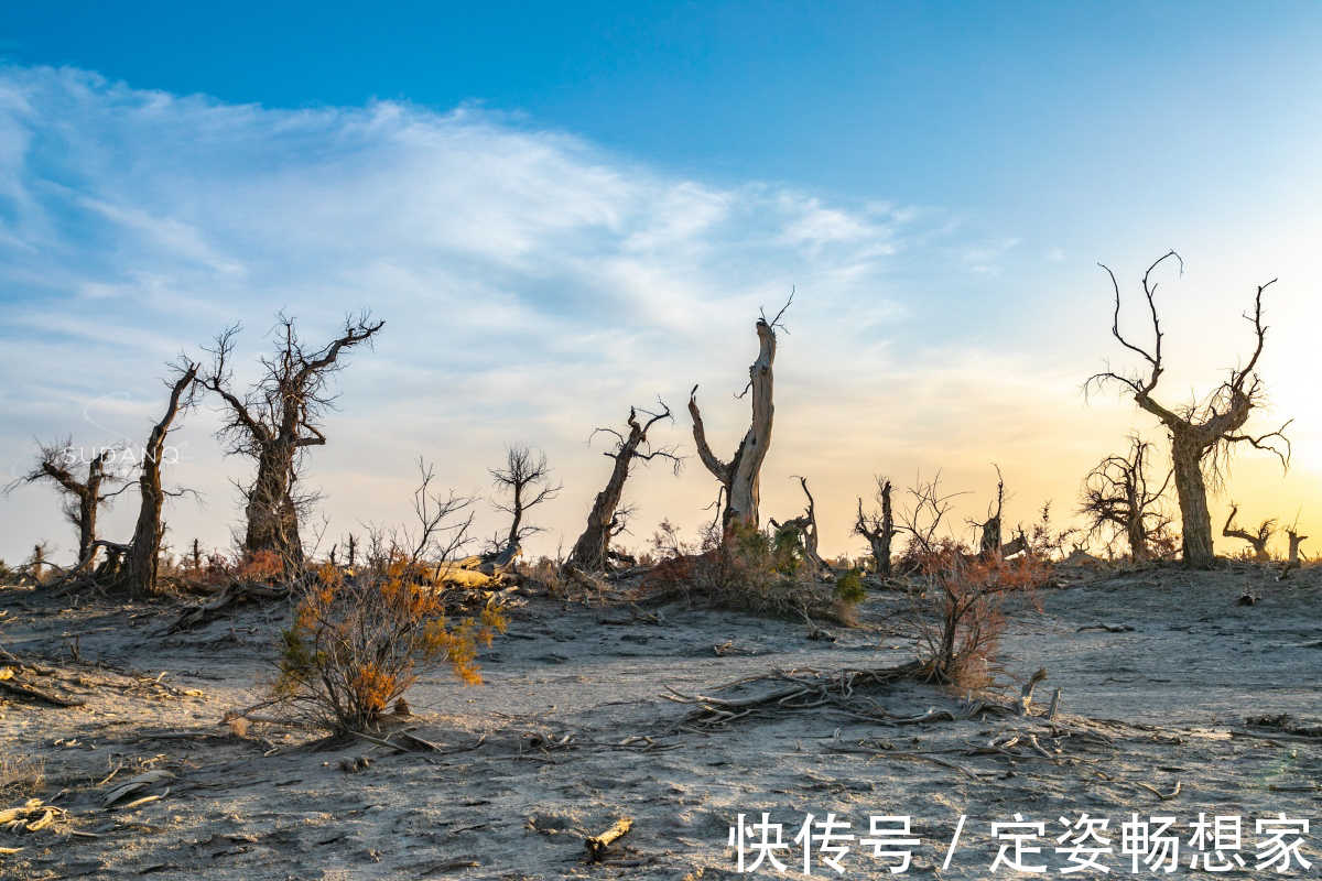 沙漠|神秘的塔克拉玛干沙漠，藏有“生命禁区”，却吸引无数探险者