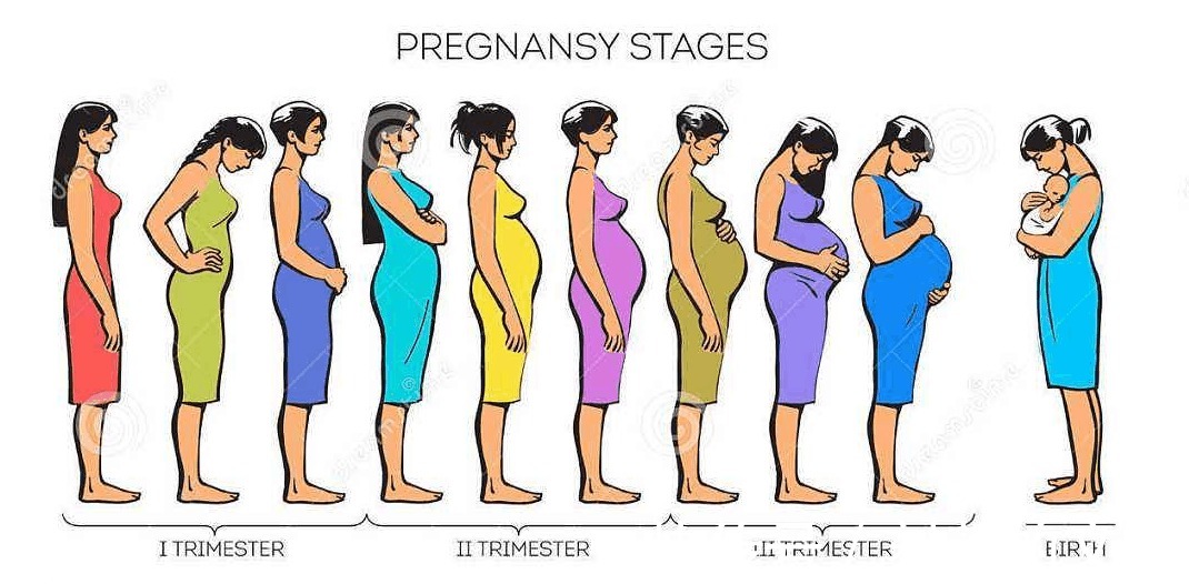 宝妈|孕9月、孕10月胎儿有什么区别 快要生产的妈妈们快了解一下吧