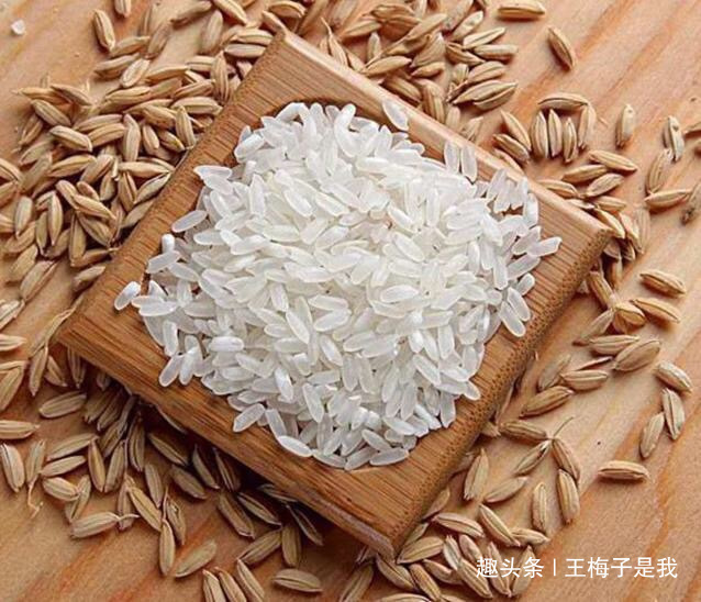 今天才知道，不能随便买大米，牢记4不要，别买错了，健康最重要