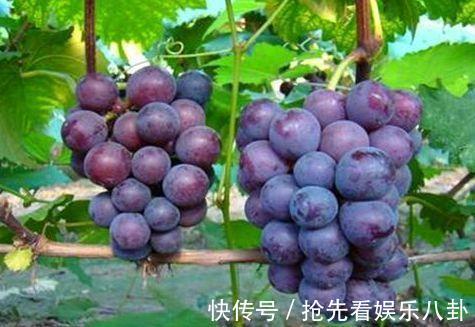 排毒|女性到了中年,常吃3种食物,滋阴润肺,排毒清肠,美容肌肤