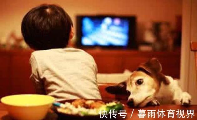 特质|喜欢“出去浪”和“宅家里”的娃,十年后一目了然,父母别无所谓