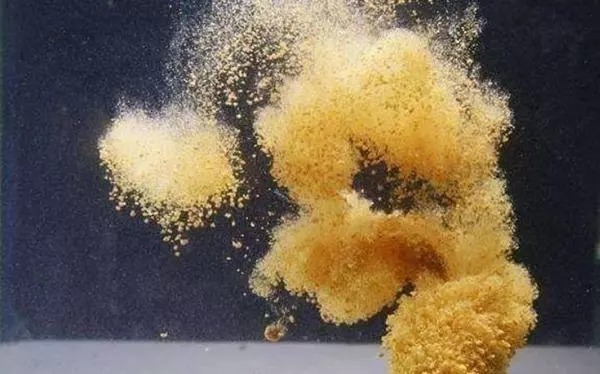 冬钓别再乱打窝,牢记3大绝活,别人钓不上,你却每竿都中鱼