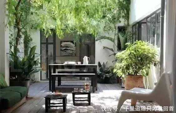 自在|院子里喝茶图个自在