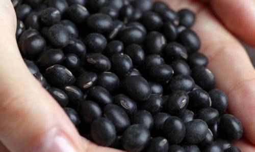 养肝|女性不想早衰,多吃的好食物,排毒养颜,养护肝脏,吃了气色好