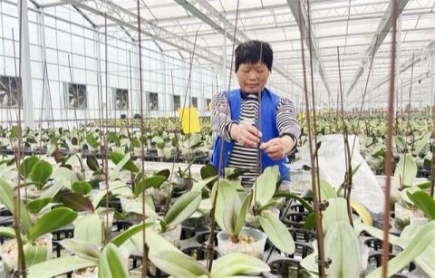 电商|物流提速增效 电商提前备货 沭阳：政企总动员迎战“双十一”