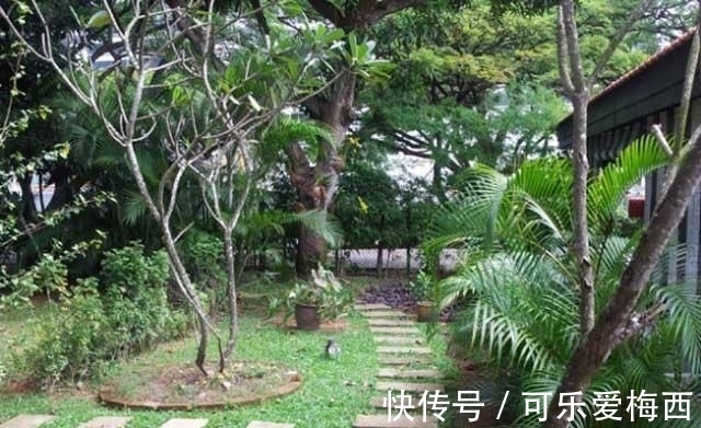 宝宝|被蚊子“选中”的宝宝,是因为甜度高吗?蚊子的口味其实是这样的