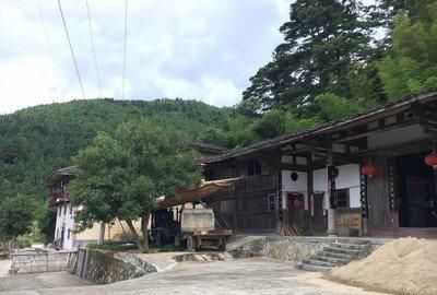 古村|福建私藏了一座原生态古村，上百只猕猴在此定居，风光秀美如初！