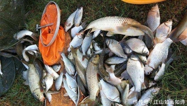 气泡|冬季钓鲫鱼,先找鱼窝再下竿,水下是否有鱼,从这两点可以看出来