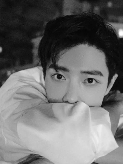 肖战迎“重要时刻”!告别伤痛为新旅程做准备?五年追梦令人敬仰