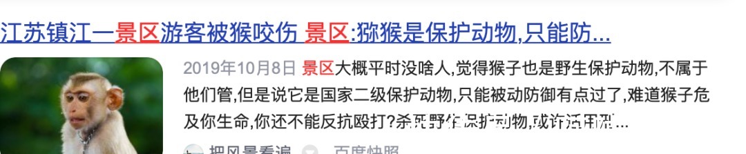 千岛湖景区|野猴伤人推人事件频发,为什么杭州千岛湖景区里的就那么听话?