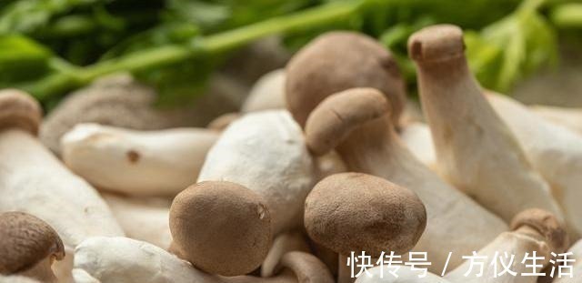 买杏鲍菇,挑长得好还是短的好?菜农:牢记3不买,才不会被忽悠