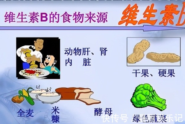 脑细胞|怀孕吃什么宝宝更聪明,什么阶段吃最好,根据宝宝大脑发育规律吃