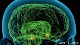 衣食无忧|老人衣食无忧,却被痴呆缠身!专家:常做3件小事,大脑更健康