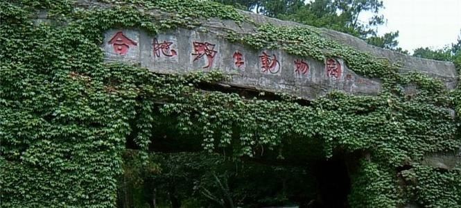 老年|【合晚快新闻】动物园今日门票已预约完