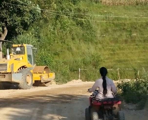 |搞笑图片幽默段子笑话:狗狗你是啥眼神啊,看到什么东西了呢