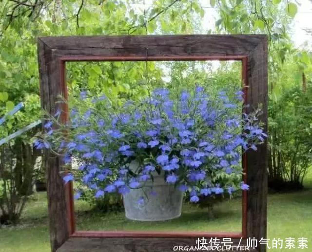 只要脑洞够，万物皆可花盆