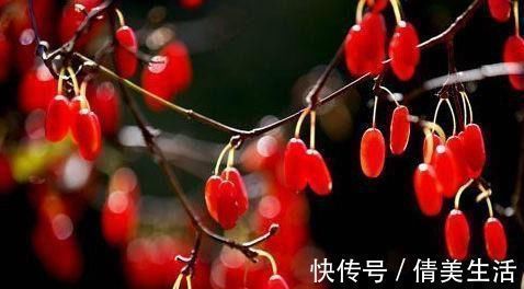 油清肠|女性不想显老,多吃3种食物,延缓衰老,美容养颜,早吃早受益!