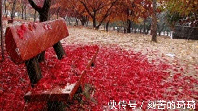 秋风&风婉约,雨薄凉,秋思缱绻秋韵静