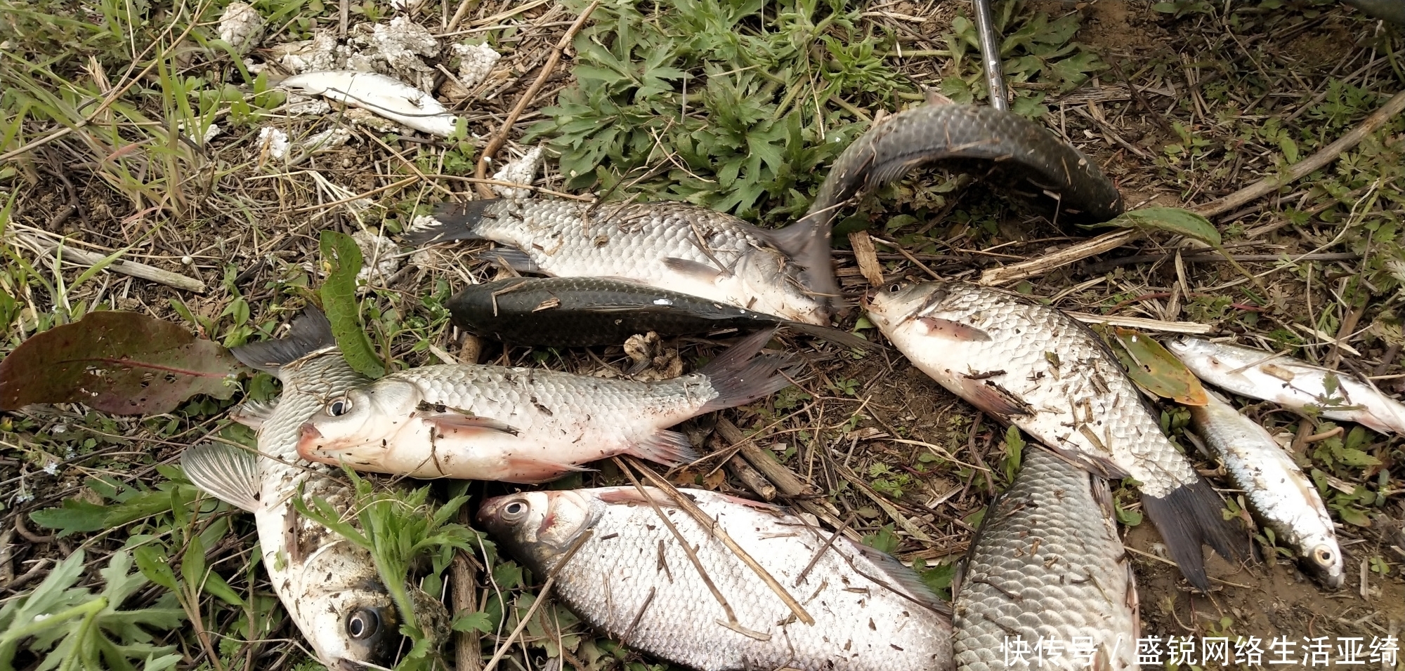 大家到达水边第一件事是干什么？切忌心急吃不了热豆腐