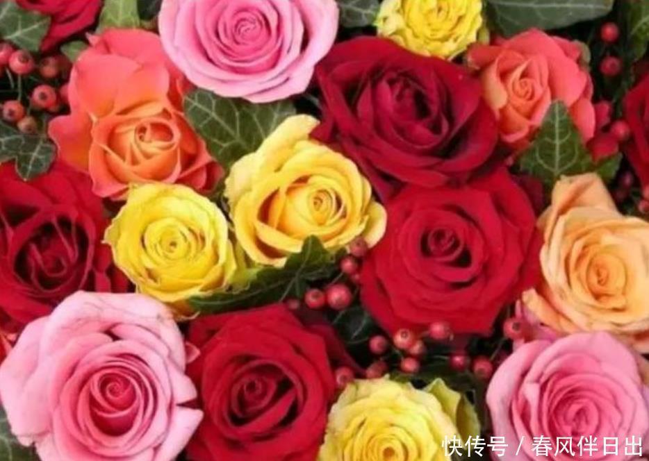 3种花最适合养客厅,花开繁盛花香怡人,花朵粉嫩丰腴,绚丽夺目