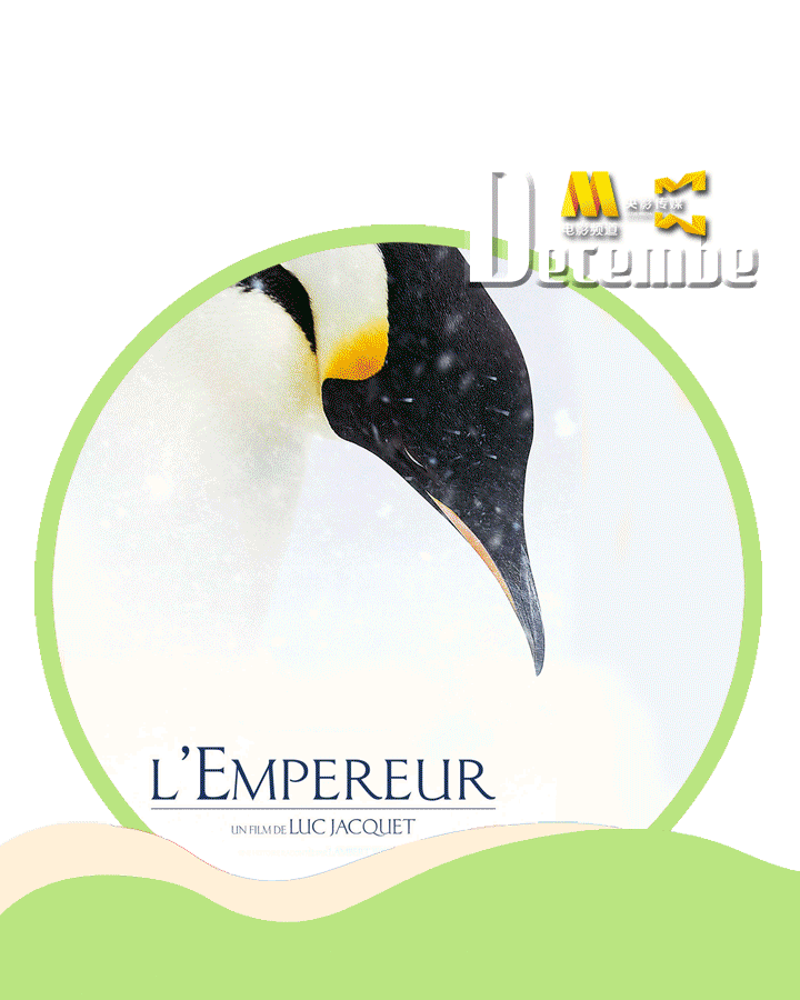 CCTV6精彩节目 |《小Q》《帝企鹅日记》轮番上演