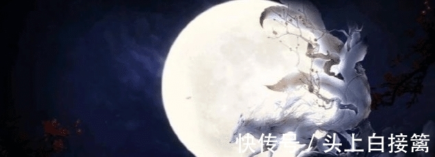 作死|因为小说太火，这位大神被判了8年，从此彻底消失