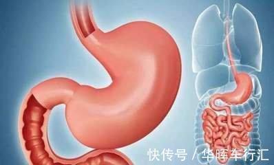 胃部|胃病的“发物”是玉米?医生:夏季想养胃,这几类食物,尽量少碰