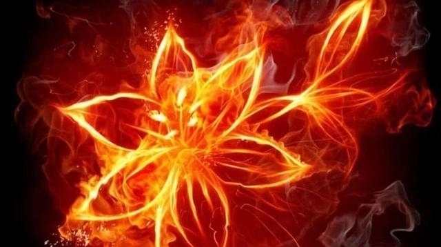 焚炎#斗破苍穹:焚炎谷到底是怎么保住九龙雷罡火的?明明排名那么高