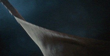 藩王|大风吹来皇冠,烂牌打出奇迹!唯一造反上位的藩王是怎样成功的