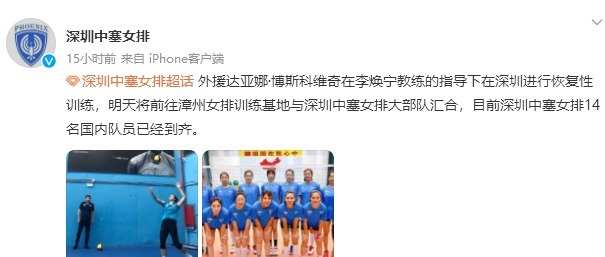 李伟伟|深圳女排14人已到齐!张可凡恐缺席新赛季,未见李伟伟身影!