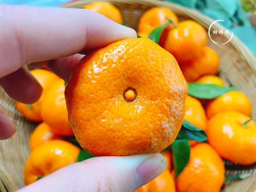 砂糖|吃橘子时，到底是“上火”还是“降火”？如果不懂，那就尴尬了