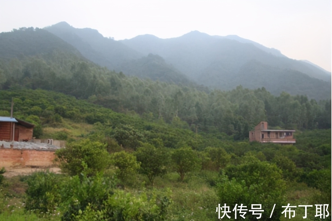 研究|他16岁开始研究易经,如今88岁高龄,他活得怎么样?