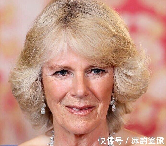 查尔斯 卡米拉的蛇形项链20年前做情人时查尔斯送的,蛇蝎气质一目了然