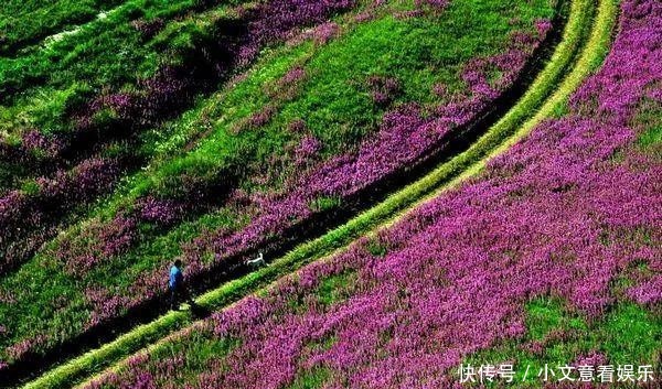 适合|青海不只有青海湖！这个美丽小县城，最适合抓住夏天的尾巴！