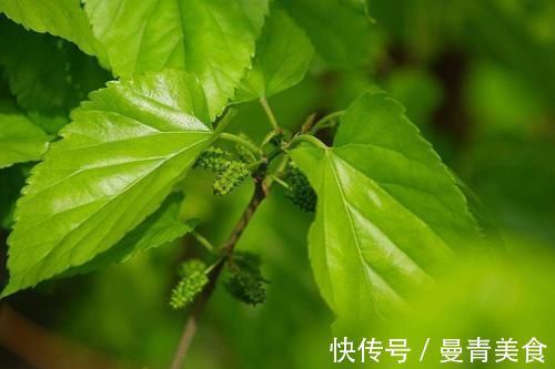 食物|甘油三酯高的人,多吃这3种食物,或能清理血管、降血脂